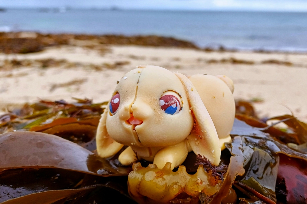 Variety of lost souls on this morning's #BeachClean <a href="/CleanCornwall/">Clean Cornwall</a> <a href="/mcsuk/">Marine Conservation Society</a> <a href="/KeepBritainTidy/">Keep Britain Tidy</a>