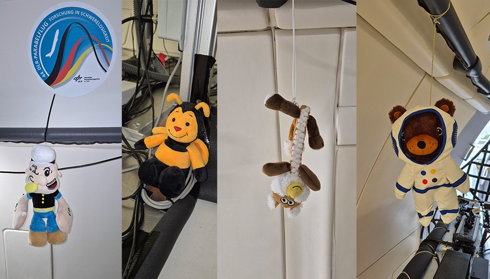 DLR_SpaceAgency's tweet image. Selbstverständlich sind auch dieses Mal die Kuscheltier-Maskottchen dabei. Sie hängen an den Haltegriffen des Flugzeugs und zeigen den Forschenden die Schwerelosigkeit an 🎈. Und Glück bringen sie natürlich auch. 🍀🐞

Bild: Credit DLR