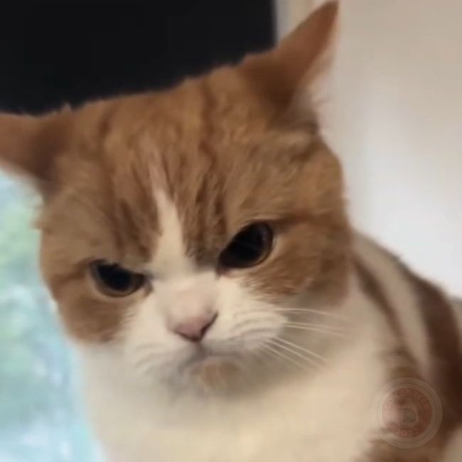 😡