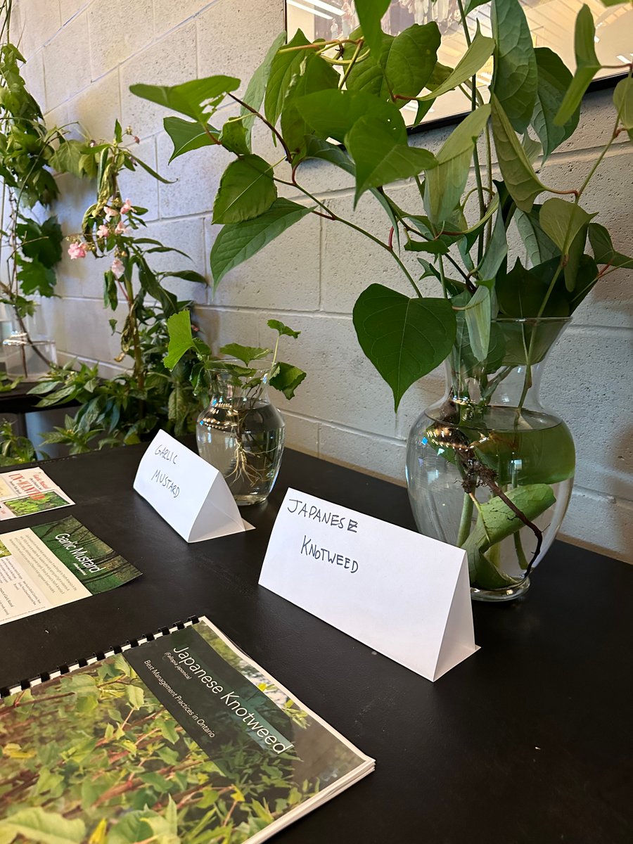 RVCA (@rideauvalleyca) on Twitter photo Join us this Saturday from 10 to 12 for an invasive species identification workshop at our head office in Manotick! We'll have live samples of some of our most aggressive local invaders so you can help prevent the spread. Email citystreamwatch@rvca.ca to register. See you there! Join us this Saturday from 10 to 12 for an invasive species identification workshop at our head office in Manotick! We'll have live samples of some of our most aggressive local invaders so you can help prevent the spread. Email citystreamwatch@rvca.ca to register. See you there!