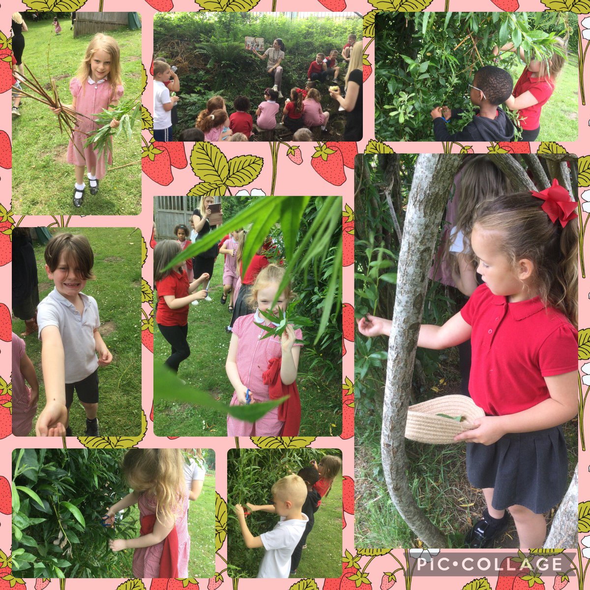 We have been #ambitiouscapablelearners today by collecting outdoor resources for our research on Ghana. We will be weaving our own hats using the willow we found ⭐️ Gwaith da blant <a href="/garntegprimary/">Garnteg Primary</a> <a href="/misssbrooks95/">@Miss Brooks</a>
