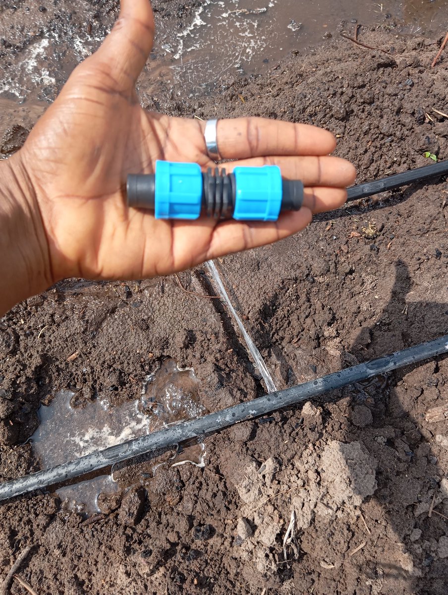 Little things that matters ✌️🌽🥒🫑