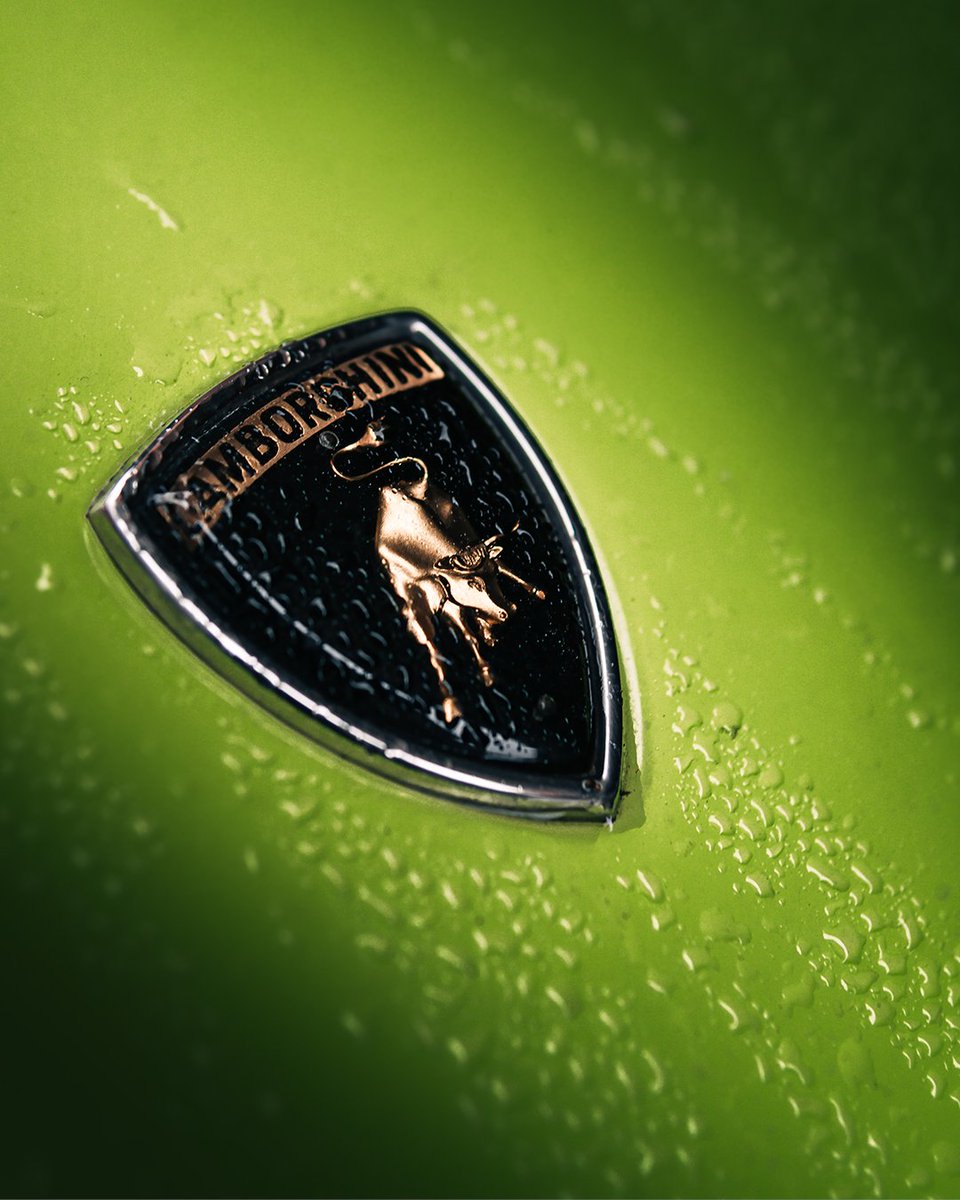 Here's the story behind this unique shade called "Verde Scandal": in the 60s, a woman came with a striking green dress and asked for her Lamborghini to have the same color. She even left the dress, as a sample. Can you believe it?

#Lamborghini