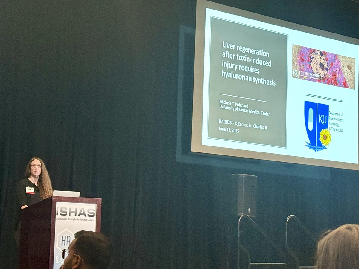 ISHAS_org's tweet image. Michelle Pritchard talks about liver regeneration requiring HA synthesis