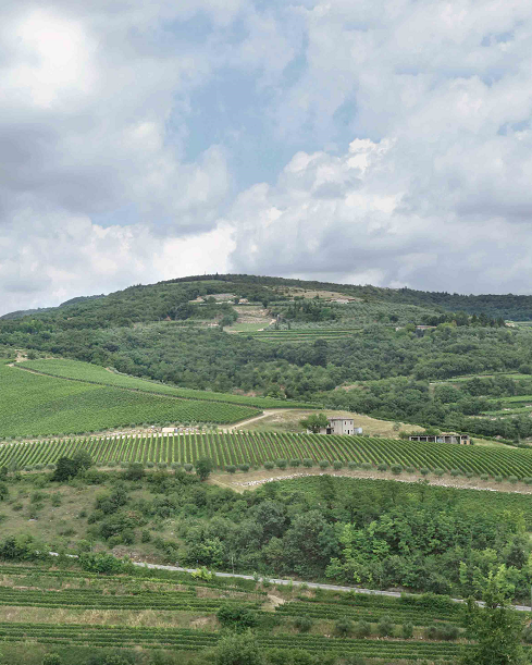 OperaWine (@myoperawine) on Twitter photo Thank you to <a href="/zenatowinery/">Zenato Winery</a> for taking part at OperaWine 2025!
#OperaWine #winespectator #Vinitaly2025 Thank you to <a href="/zenatowinery/">Zenato Winery</a> for taking part at OperaWine 2025!
#OperaWine #winespectator #Vinitaly2025