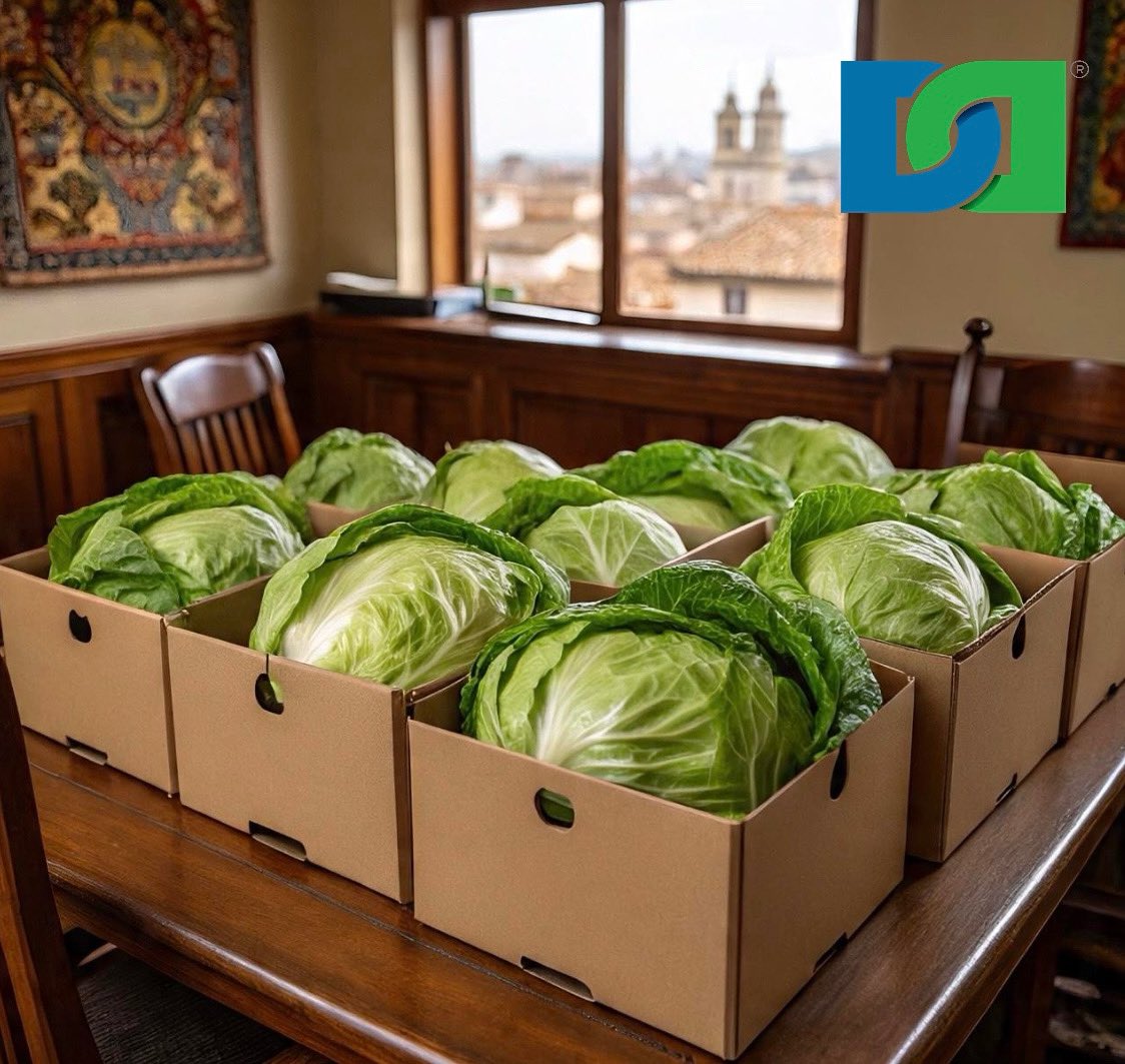 #Spain ,top #lettuce exporter, shipped 778.73M kg in 2023 ($1.03B). Iceberg &amp; Romaine lead; Lollo Rosso rises. Prices: $0.80–$1.50/kg. #EU pushes biodegradable packaging. High #logistics (20–25%), energy, &amp; #Brexit issues challenge growth. Water scarcity risks yields. #agrifood