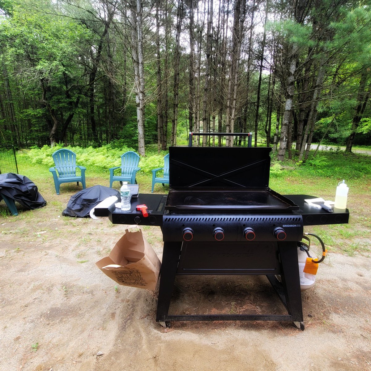 Perfect day to re-season the griddle.