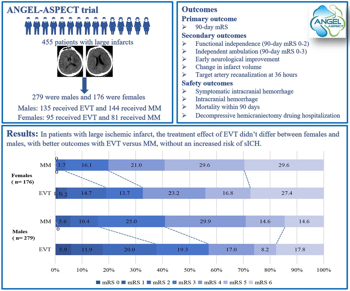 Secondary analysis of ANGEL-ASPECT RCT shows that among #stroke patients with large core, the treatment effect of EVT did not differ between females and males, with better outcomes with EVT versus BMT and without an increased risk of sICH. #GoRedForWomen ahajournals.org/doi/full/10.11…