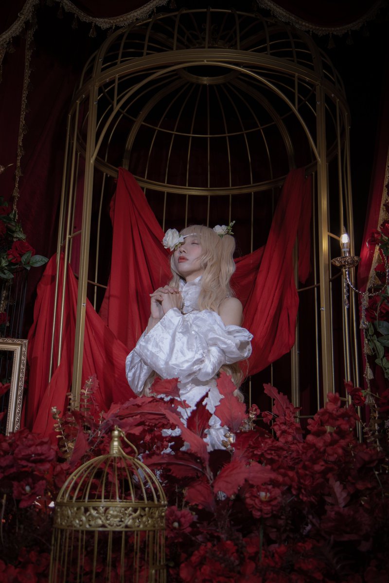 🥀로젠메이든-제7돌 키라키쇼🥀

🤍<a href="/2ro_cos/">이로</a>

#로젠메이든 #ローゼンメイデン #RozenMaiden