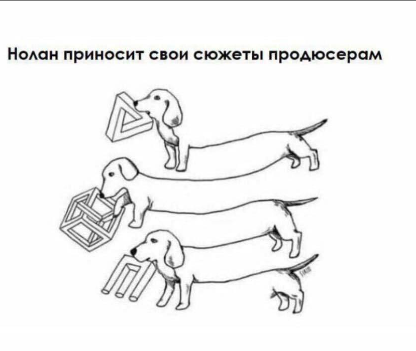 Andrew Zoidberg (@andrew_zoidberg) on Twitter photo 