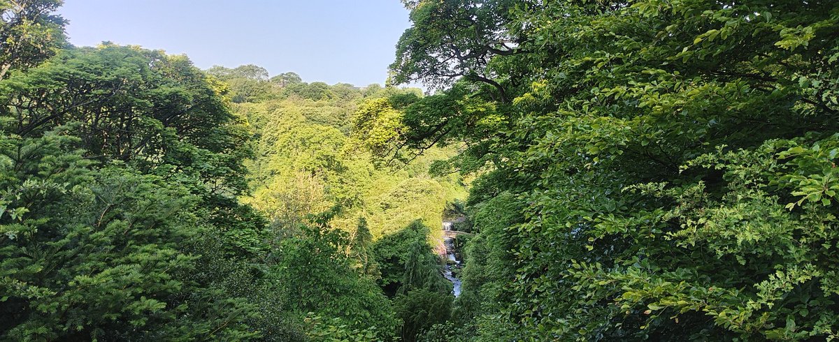 Jesmond Dene parkrun tweet media