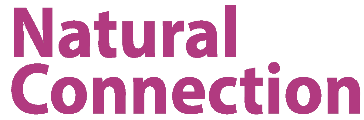 _eComSystems's tweet image. This is a TEST.