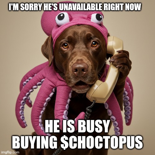ChoctopusCrypto's tweet photo. @0xSweep Yet here you are still fading the dogtopus. 

Come join us sweep.

EVrGfAj99Xr1NjqqZv6E2msVKZVmhGaThHhcZXzrpump https://t.co/u6uOe4q3BY