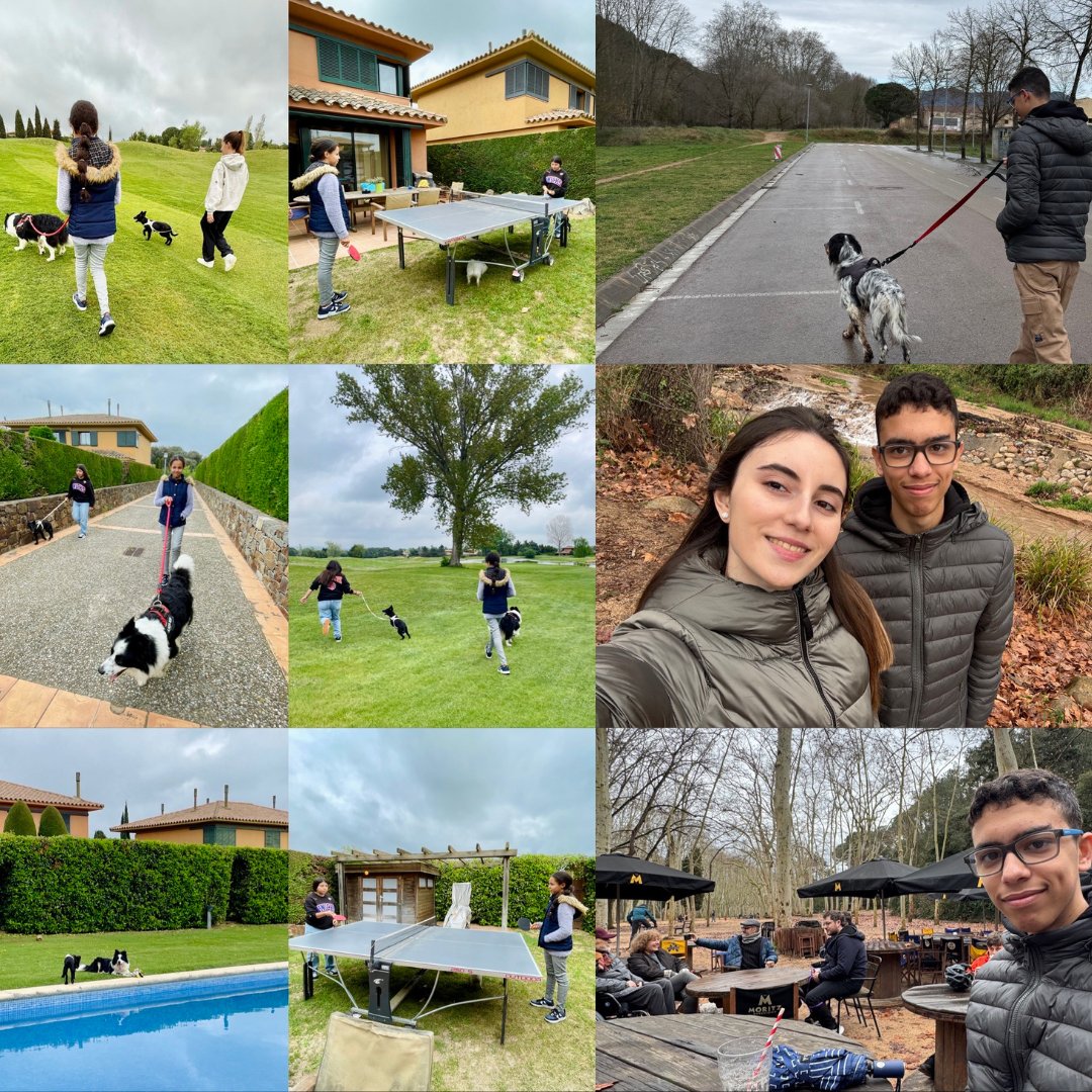 Projecte Rossinyol tweet media