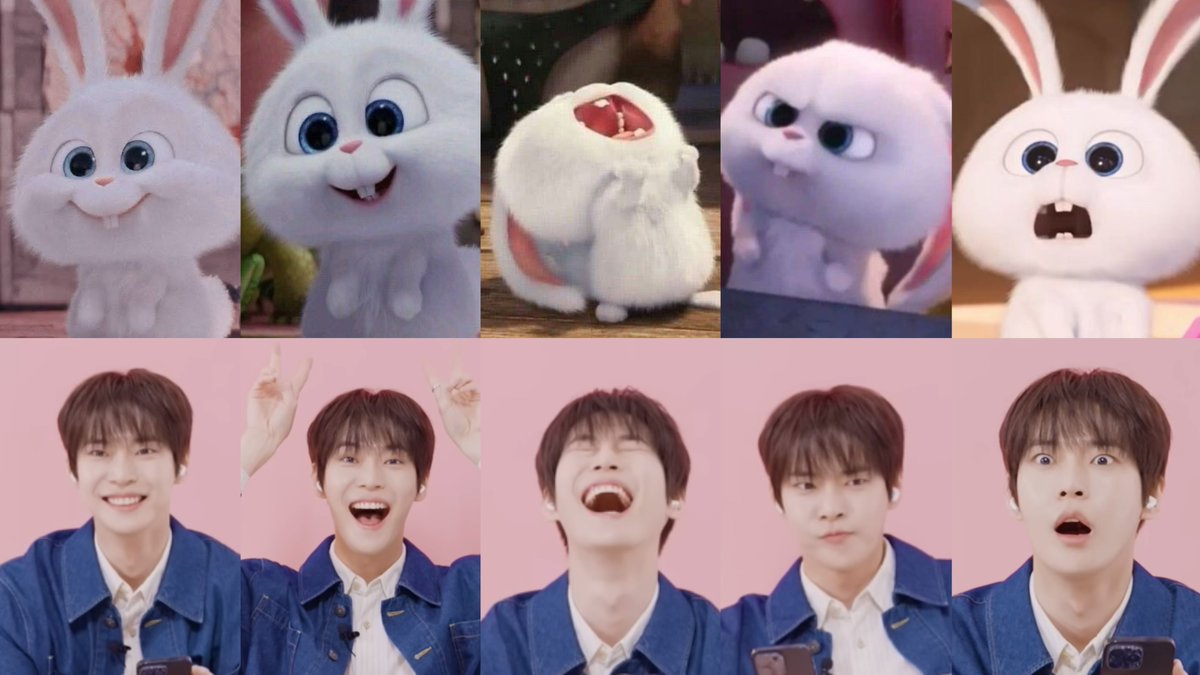 snowball 🐰