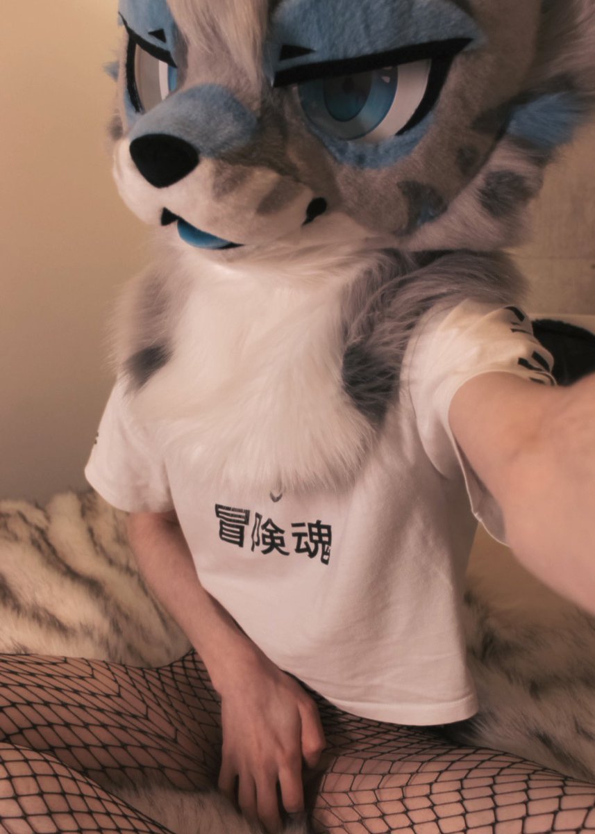 meowdy, happy wednesday 😸