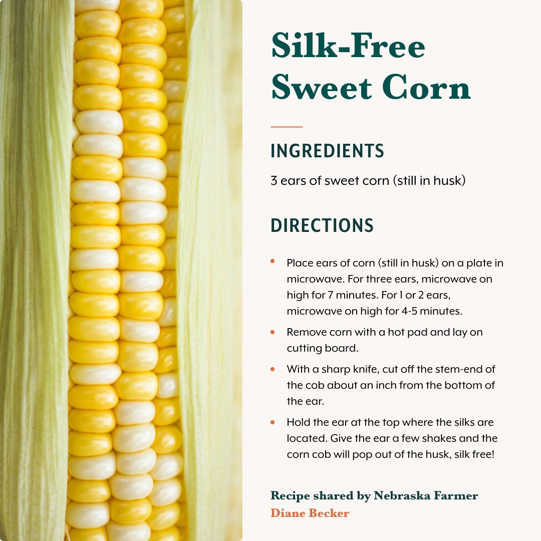 DYK one ear of corn can have up to 600 silks? 😩 No more picking them off one by one! <a href="/CommonGroundNE/">CommonGround Nebr.</a>  farmer Diane shared a genius hack that removes silks fast — and as a bonus, it perfectly steams your sweet corn. Delicious and easy. 🌽 🙌 #NationalCornOnTheCobDay #CornRecipes