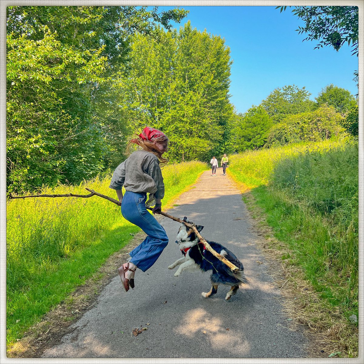 Day 162/365 #photoaday
This is Rigby’s 129th stick for his Instagram. He was determined to catch this one—despite it being a bit of a handful.