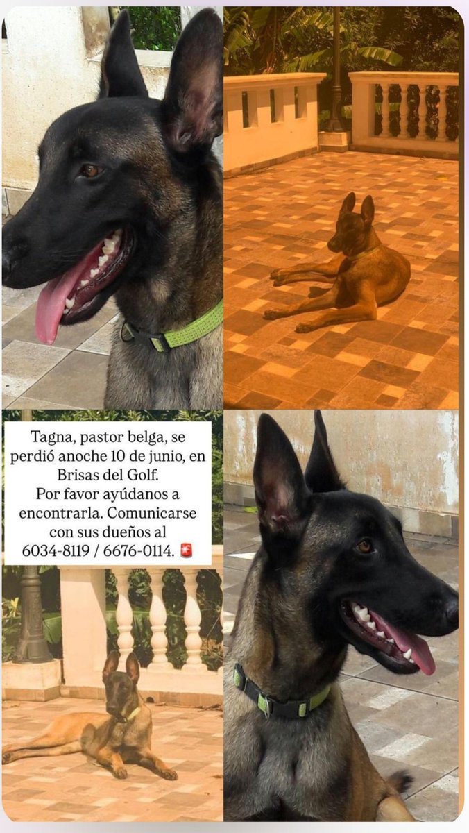 Favor compartir <a href="/BrisasdelGolf/">𝗕𝗿𝗶𝘀𝗮𝘀 𝗱𝗲𝗹 𝗚𝗼𝗹𝗳</a>