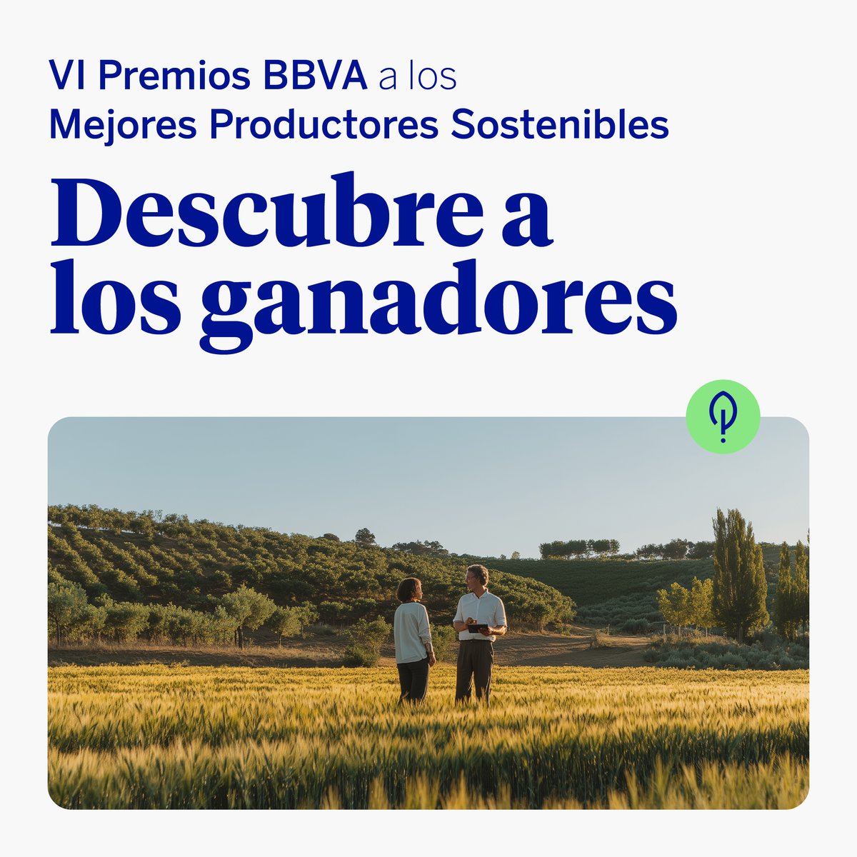 🏆🌿 Los Premios #ProductoresSosteniblesBBVA ya tienen ganadores en su VI edición. ¡Conoce a los 10 mejores productores sostenibles de España, procedentes de 8 comunidades autónomas diferentes! 👩‍🌾🔗 bbva.info/441xPHb