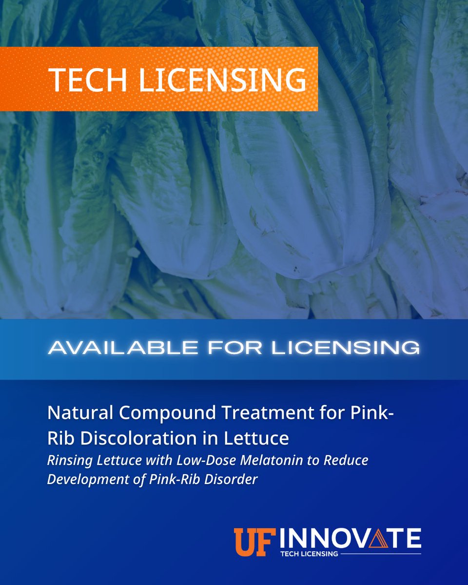 UF Innovate | Tech Licensing (@ufotl) on Twitter photo .<a href="/ufhorticulture/">UF/IFAS Horticultural Sciences</a> and <a href="/UfLettuce/">Lettuce Breeding UF</a> researchers found that rinsing lettuce with low doses of melatonin can reduce pink rib discolorationโa major quality issue for growers. This natural treatment boosts shelf life and marketability.
๐: ufinnovate.technologypublisher.com/tech/Natural_Cโฆ .<a href="/ufhorticulture/">UF/IFAS Horticultural Sciences</a> and <a href="/UfLettuce/">Lettuce Breeding UF</a> researchers found that rinsing lettuce with low doses of melatonin can reduce pink rib discolorationโa major quality issue for growers. This natural treatment boosts shelf life and marketability.
๐: ufinnovate.technologypublisher.com/tech/Natural_Cโฆ