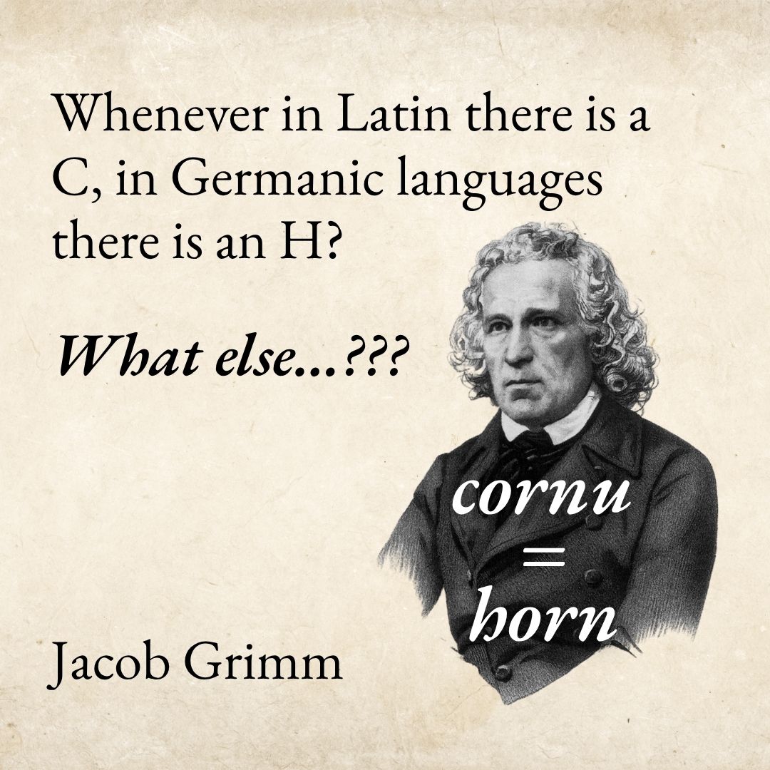 LatinScratch's tweet photo. Check the video! https://t.co/PL1VoNyFyo https://t.co/RxqMDC7fUN