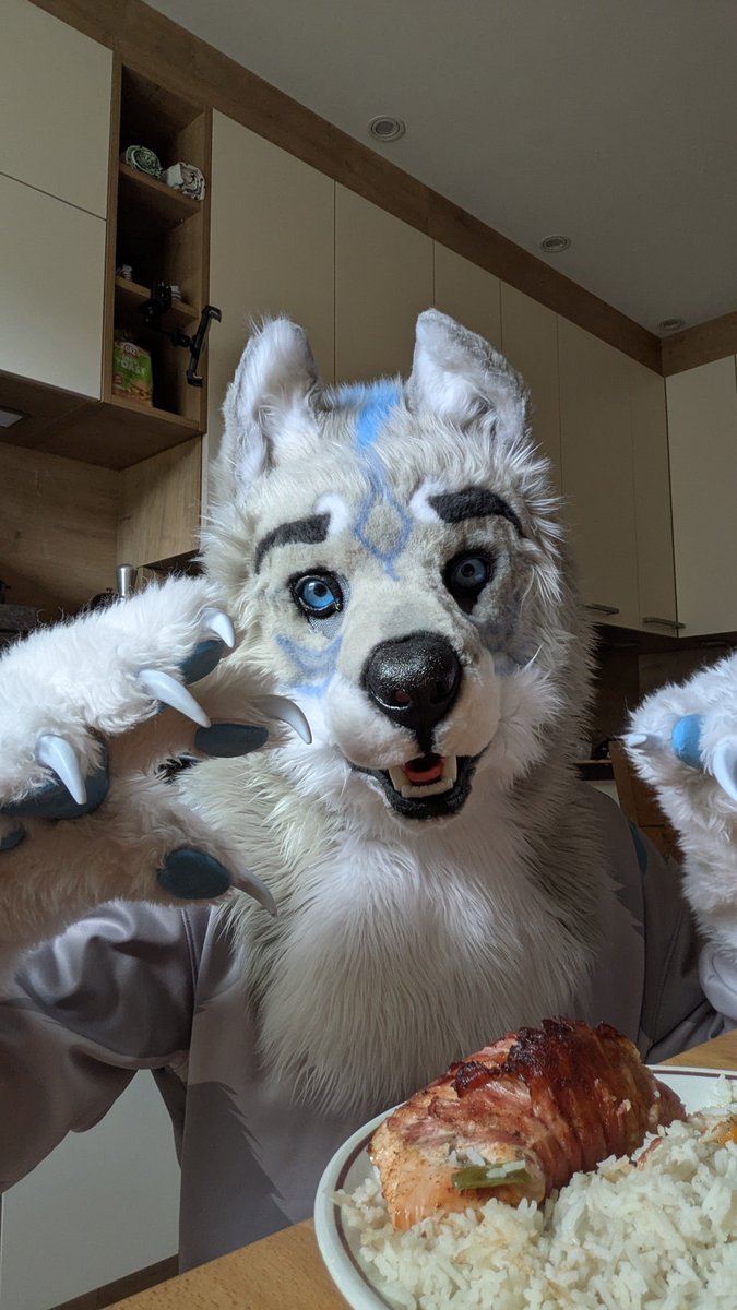 Chicken for the wolf :3