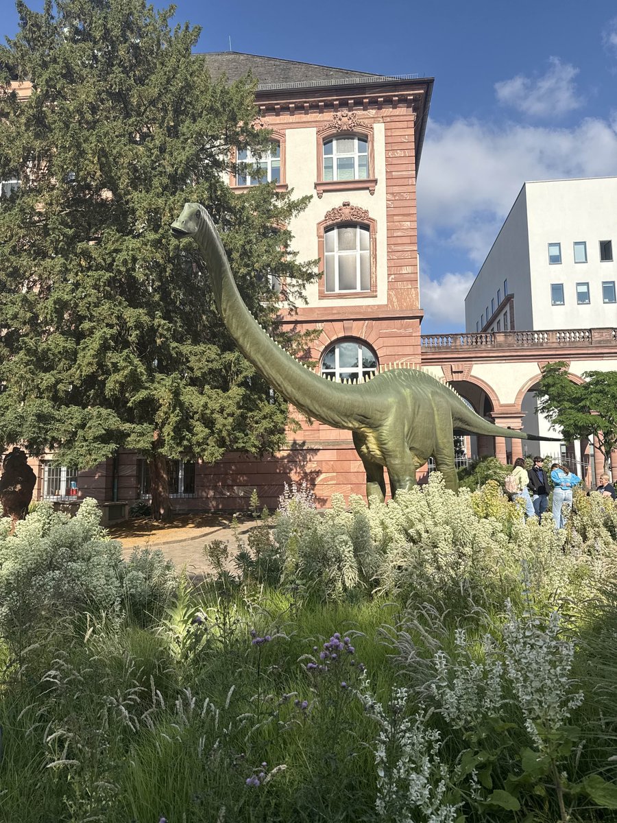 LoGaCulture Project (@logaculture) on Twitter photo ๐ฟ The 2025 #LoGaCulture General Assembly kicked off today! ๐ท Partners from across Europe are gathering <a href="/Senckenberg/">SENCKENBERG</a> museum in Frankfurt, Germany, to shape the future of #gaming cultures and #CulturalHeritage. Let the exchange of ideas and creative energy begin! #HorizonEurope ๐ฟ The 2025 #LoGaCulture General Assembly kicked off today! ๐ท Partners from across Europe are gathering <a href="/Senckenberg/">SENCKENBERG</a> museum in Frankfurt, Germany, to shape the future of #gaming cultures and #CulturalHeritage. Let the exchange of ideas and creative energy begin! #HorizonEurope