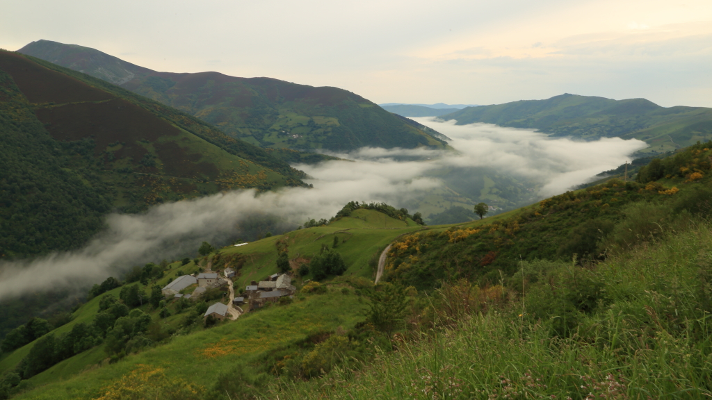Desde el Parador de Corias, te invitamos a vivir dos experiencias únicas de #NaturalezaParaLosSentidos:

✨ "Entre Montañas y Sabores": Una ruta para descubrir el oso pardo, paisajes increíbles y la alfarería negra de Llamas del Mouro, con un picnic campestre incluido.