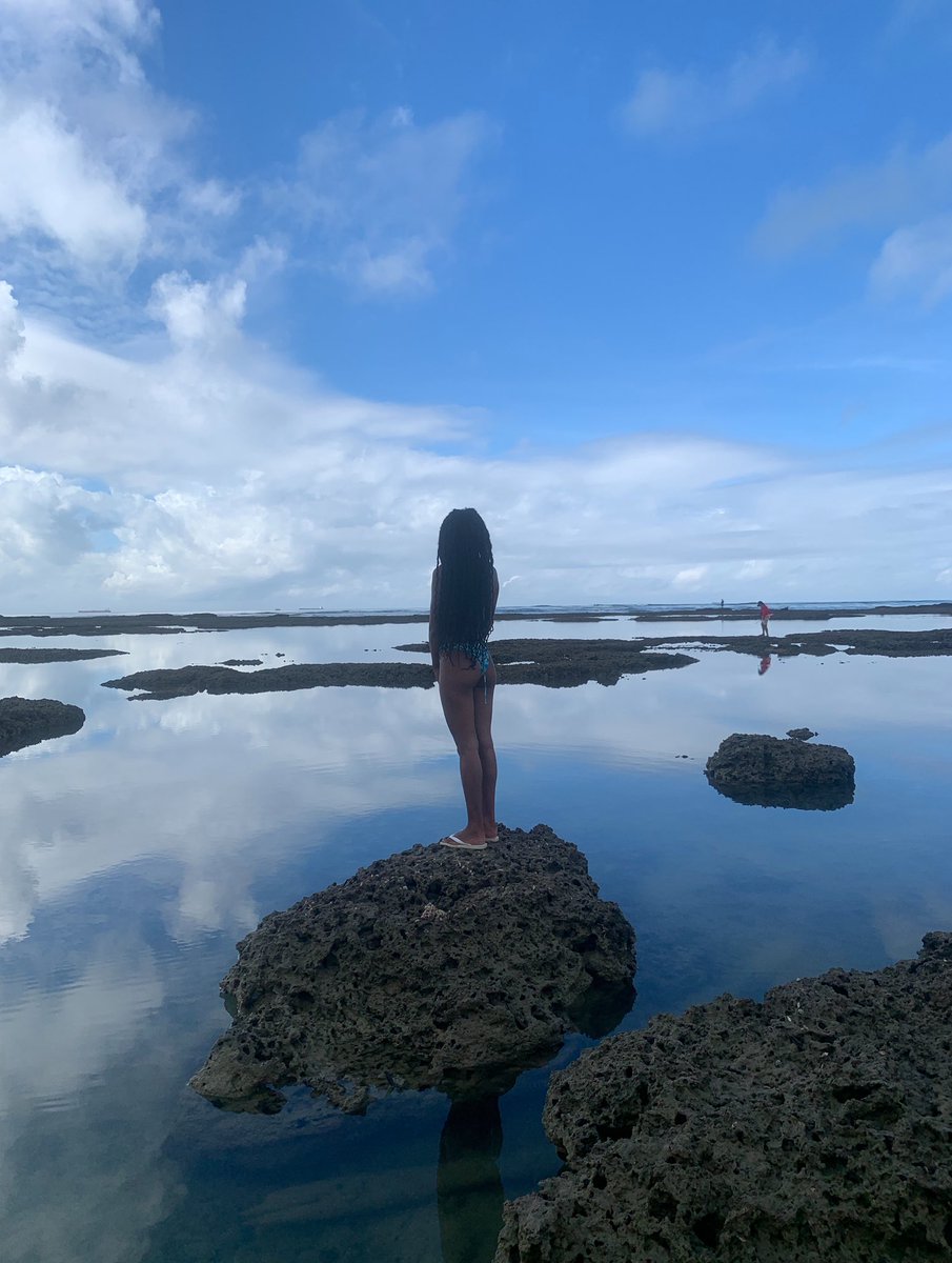 🏝️🌊 tweet media