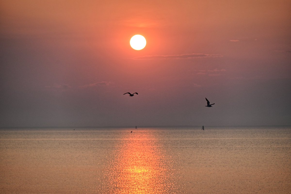 adrummergirl's tweet photo. Good Morning from port Mahon, Delaware 🌅 #delaware  #portmahon #doverde #sunrise @spann @delawareonline @DelWeatherNet @DelawareDNREC @DelawareToday @MyDelmarvaNow @CNNweather @weatherchannel @WeatherNation @USATODAY @onlyinyourstate @sunrise https://t.co/F9J15N4OG0