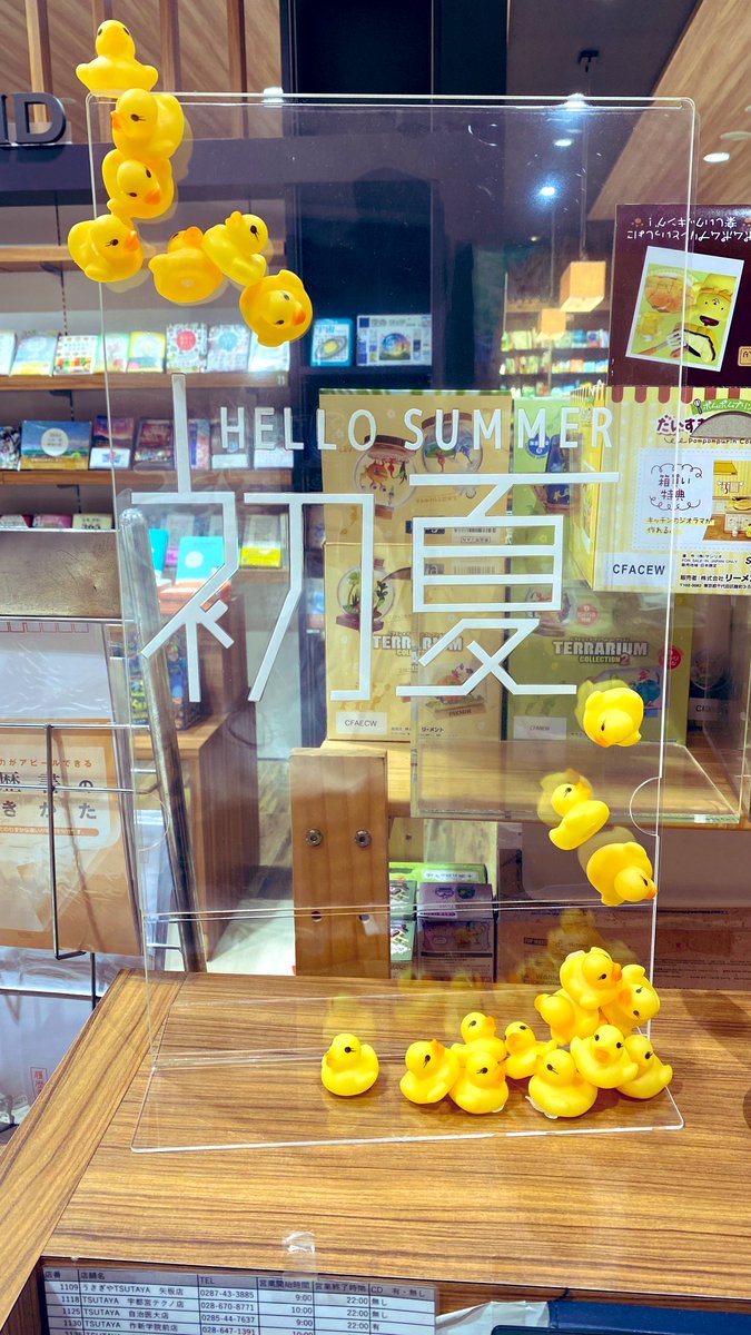 Dg8Fm's tweet photo. 5月〜6月くらいは初夏みたいだから
ちょっとの間のつなぎコーナーを…
5年ぐらい前にイベントで使ったアヒルちゃんがいっぱいあったのでちょっとアートな感じになった(*˙꒳˙*)‧⁺✧︎* https://t.co/YnA8eM6n0V