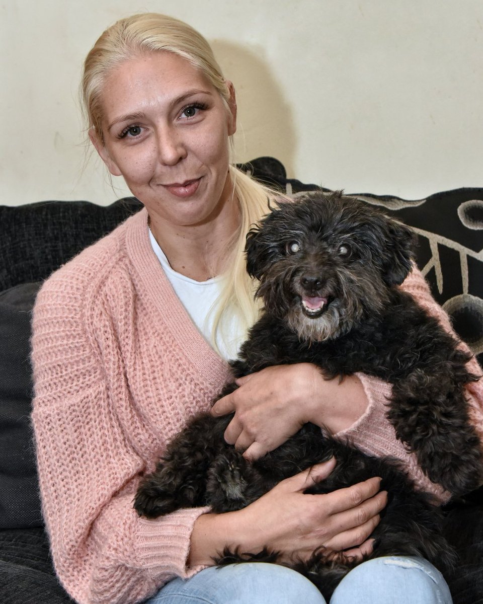 PDSA_HQ's tweet photo. Thanks to players of #PeoplesPostcodeLottery, pets like Fifi can receive insulin medication and support after being diagnosed with diabetes ❤️
"We didn’t know much about diabetes in dogs, but PDSA were amazing and showed us how to give Fifi insulin," Fifi's owner, Gemma, says. https://t.co/NYqHpkT3EV