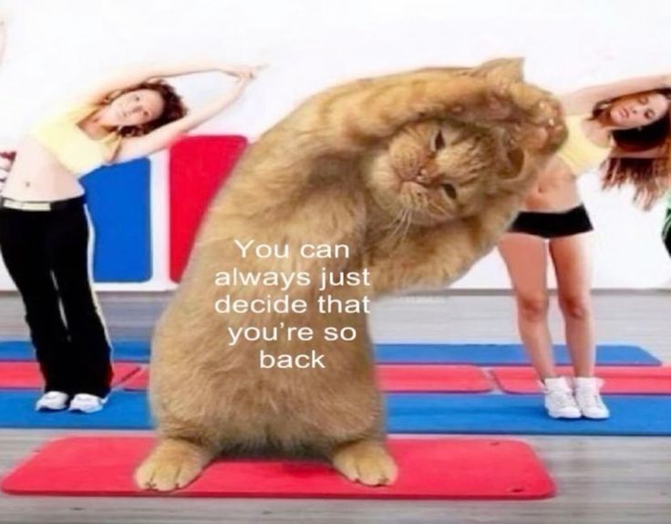 pilatesgirly's tweet photo. me everyday https://t.co/c5AC5myDFD