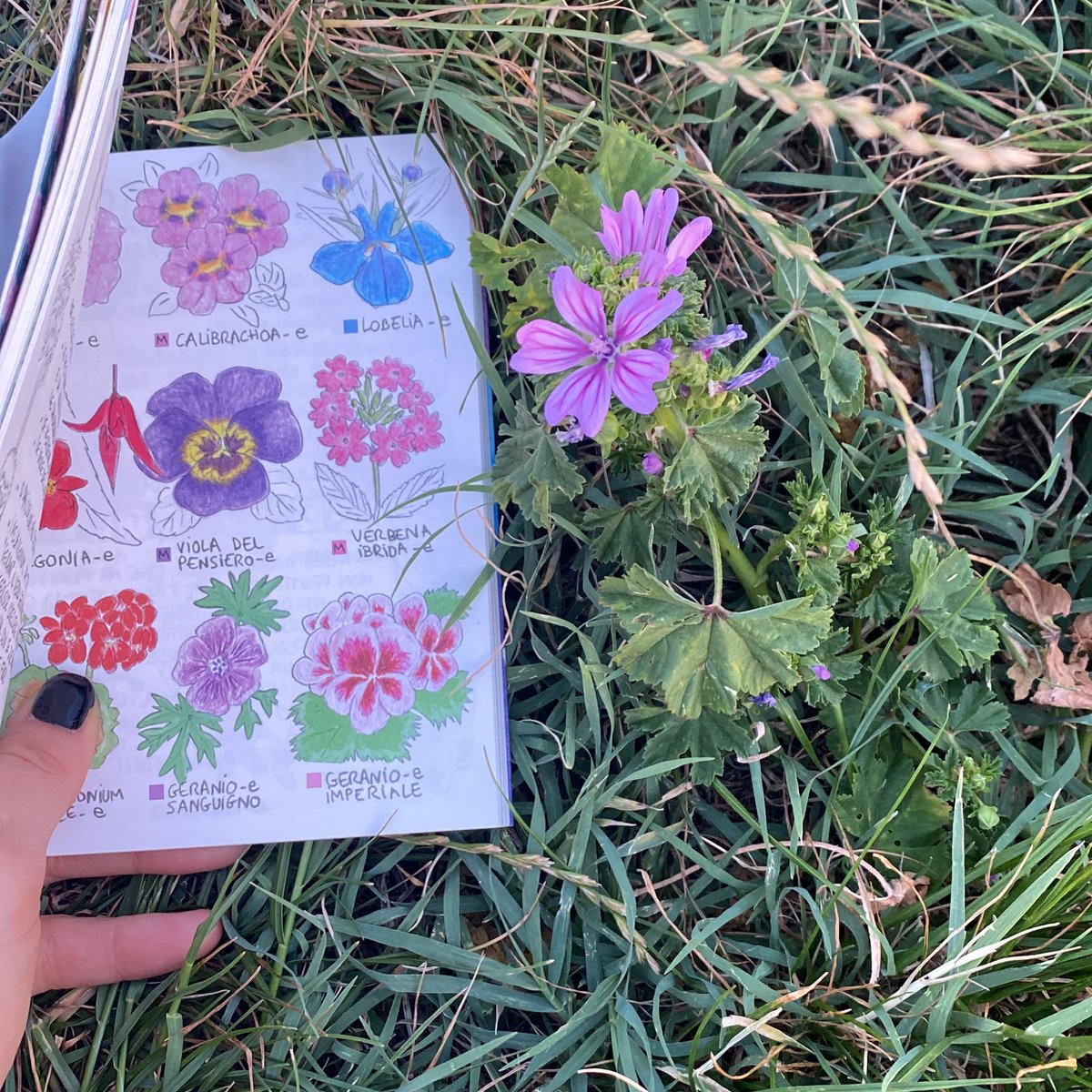 Marizzzbin's tweet photo. 10 giorni che sembrano un mese 🌈 https://t.co/UPBKDeh2cf