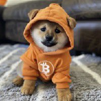 <a href="/arjunsethi/">Arjun Sethi</a> $DOG is the culture of BTC and known as Satoshi best friend - to us as Mans best friend on Bitcoin  !