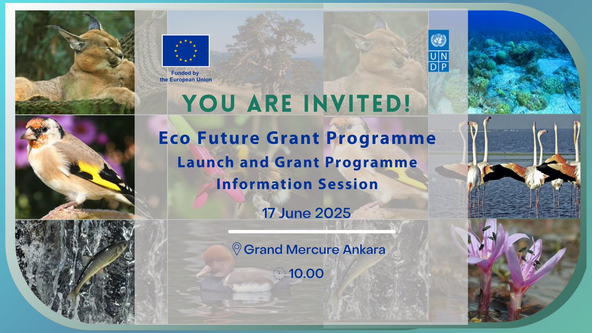 undpturkiye's tweet photo. Eco Future Grant Programme launches soon! 🎉

Don't miss the first information session of the programme, implemented with the support of @EUDelegationTur and aimed at enhancing civil society's impact on climate change and biodiversity!

🔗 Register here 👉https://t.co/yQg2adIY2C https://t.co/HMuFUTSZcJ