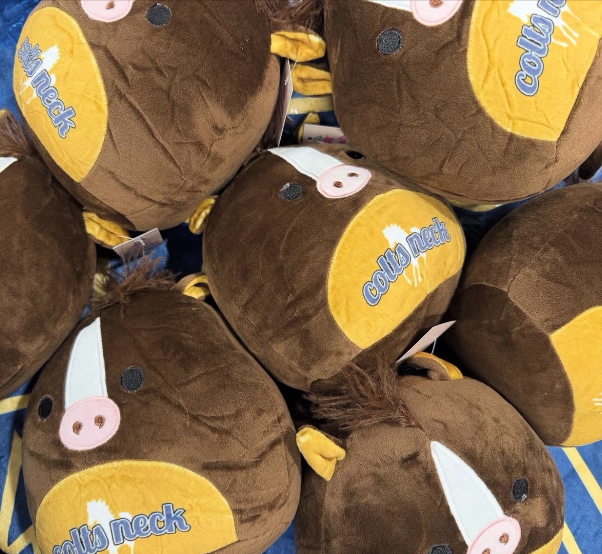 Colts Neck PTO tweet media