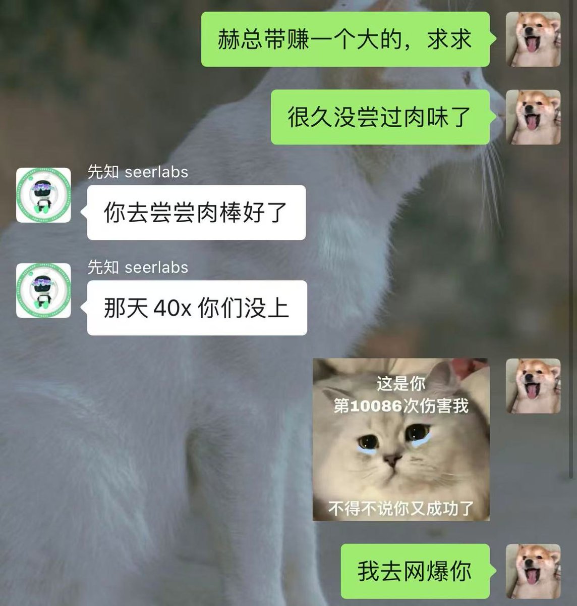 带我赚点带我赚点带我赚点带我赚点带我赚点带我赚点带我赚点带我赚点带我赚点带我赚点快带我赚点啊@crypto_he