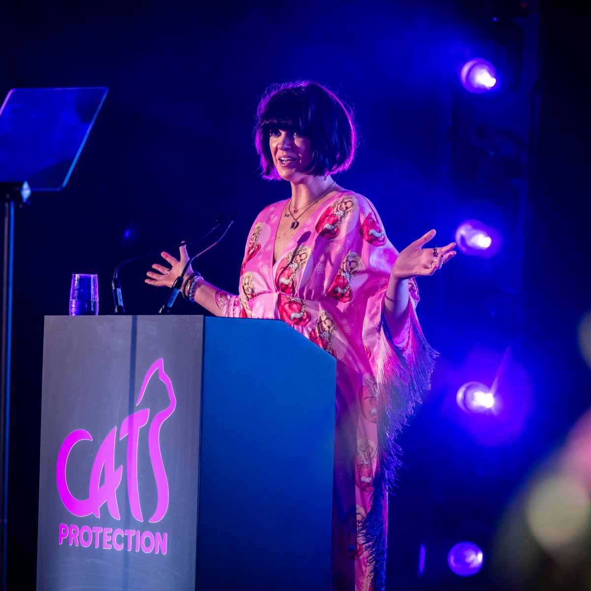 We are thrilled to announce self-confessed ‘Cat Lady’ Dawn O'Porter will be hosting the #NationalCatAwards again this year! 🏆 
Stay tuned as next week we announce our finalists, as well as a very special opportunity for 2025! 👀