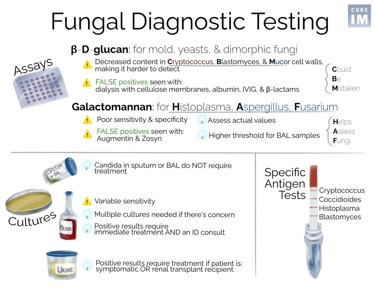 1/ 🚨 NEW #5Pearls: Invasive Fungal Disease 🦠 

Let’s chat about:
1️⃣ What?
2️⃣ Who?
3️⃣ Main classes
4️⃣ Testing
5️⃣ Treatment

🖥️: coreimpodcast.com/2025/06/11/inv…