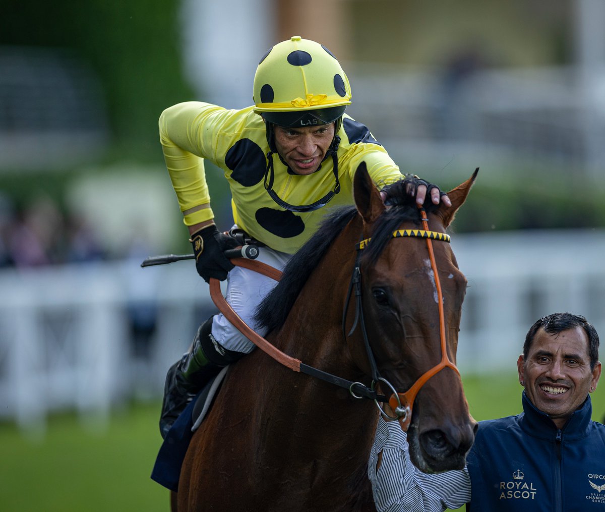 ⭕️ QUEEN ANNE STAKES CONFIRMATIONS ⭕️

Cairo
Dancing Gemini
Diego Velazquez
Docklands
Lake Forest
Lead Artist
Notable Speech
Quddwah
Rosallion
Sardinian Warrior