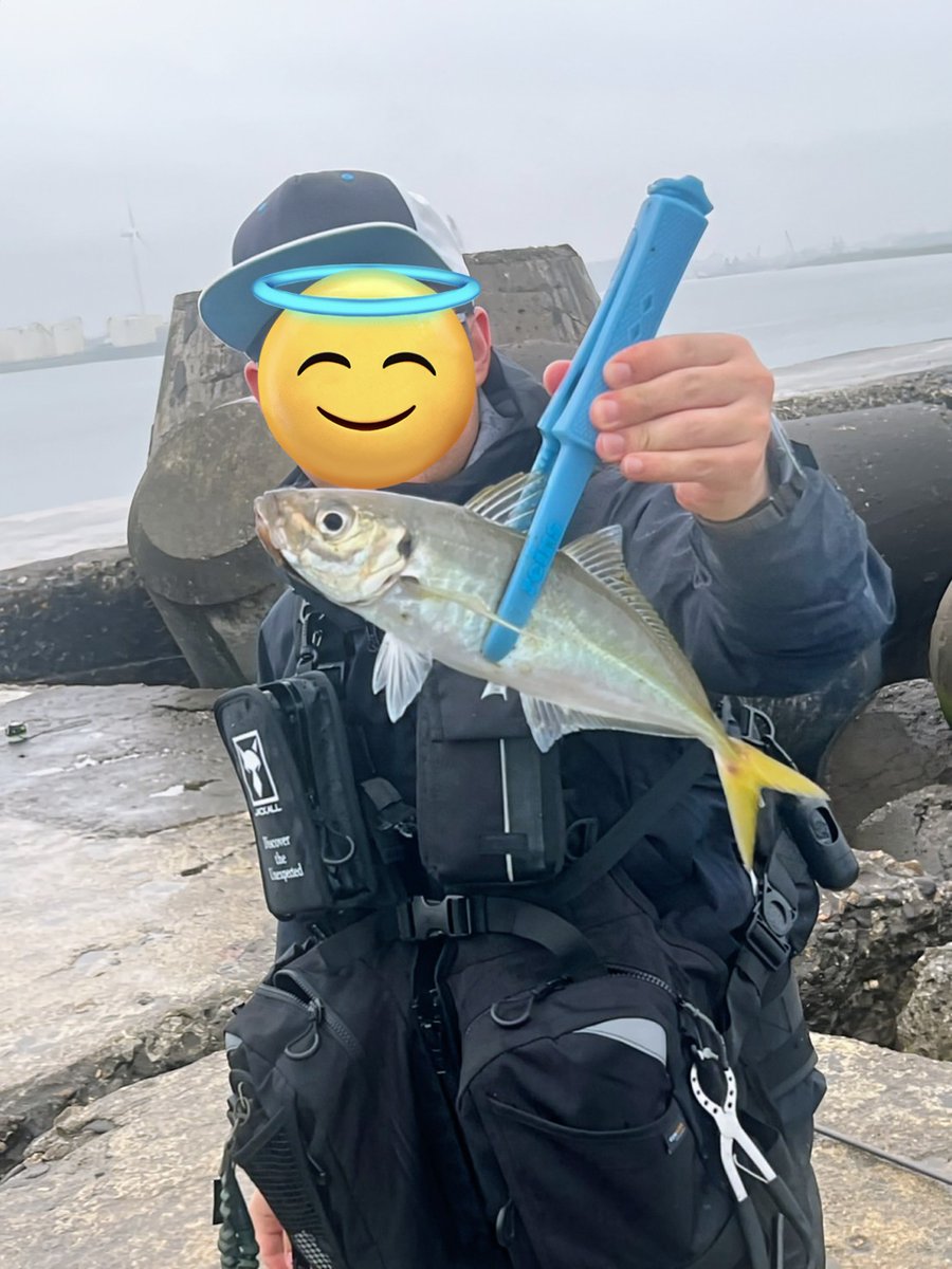 Google_Teacher_'s tweet photo. 37センチのアジを筆頭にサバ含め30匹ぐらい釣れました
とてもたのしかったです！ https://t.co/LMICzb2ZhF