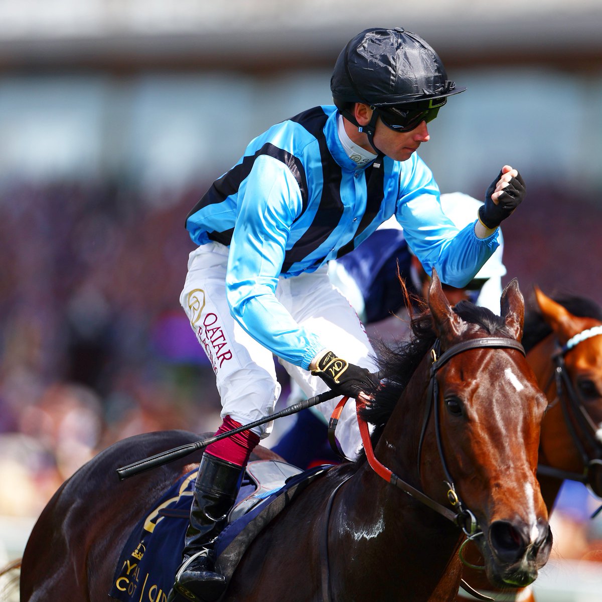 ⭕️ KING CHARLES III STAKES CONFIRMATIONS ⭕️

American Affair
Jasour
Kerdos
Manaccan
Night Raider
Regional
Rumstar
Starlust
Storm Boy
Twilight Calls
Washington Heights
Asfoora
Balmoral Lady
Believing
Flora Of Bermuda
Frost At Dawn
Mgheera
Monteille
No Half Measures
Aesterius