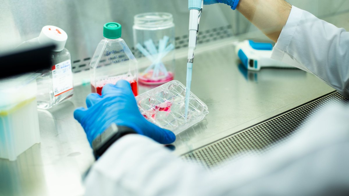 🚨 New publication from the #MAGICproject!

A novel iPSC line from a UCMD patient with a COL6A1 mutation offers a valuable new model for studying collagen VI-related muscular dystrophies and testing therapies.

📖 Read the paper: sciencedirect.com/science/articl…
