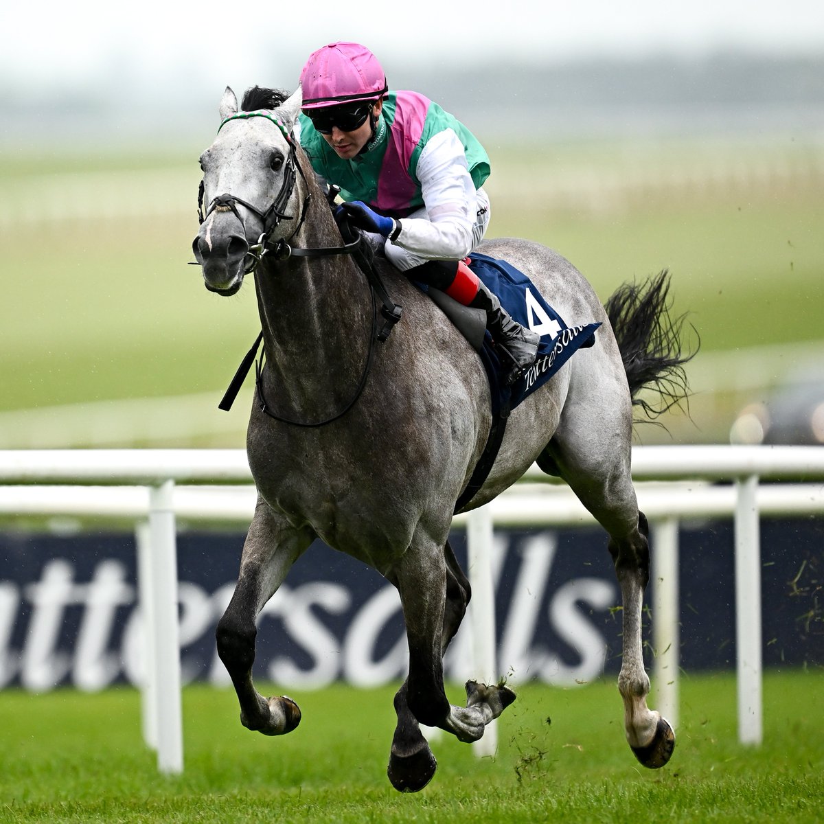 ⭕️ ST JAMES'S PALACE STAKES CONFIRMATIONS ⭕️

Field Of Gold
First Wave
Henri Matisse
Jonquil
Officer
Opera Ballo
Rashabar
Ruling Court
Scorthy Champ
Shadow Of Light
Windlord