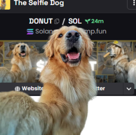 DEX UPDATED!
dexscreener.com/solana/ykrmx6e…