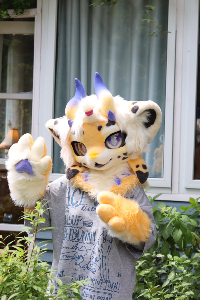 Little slug like cheese🧀