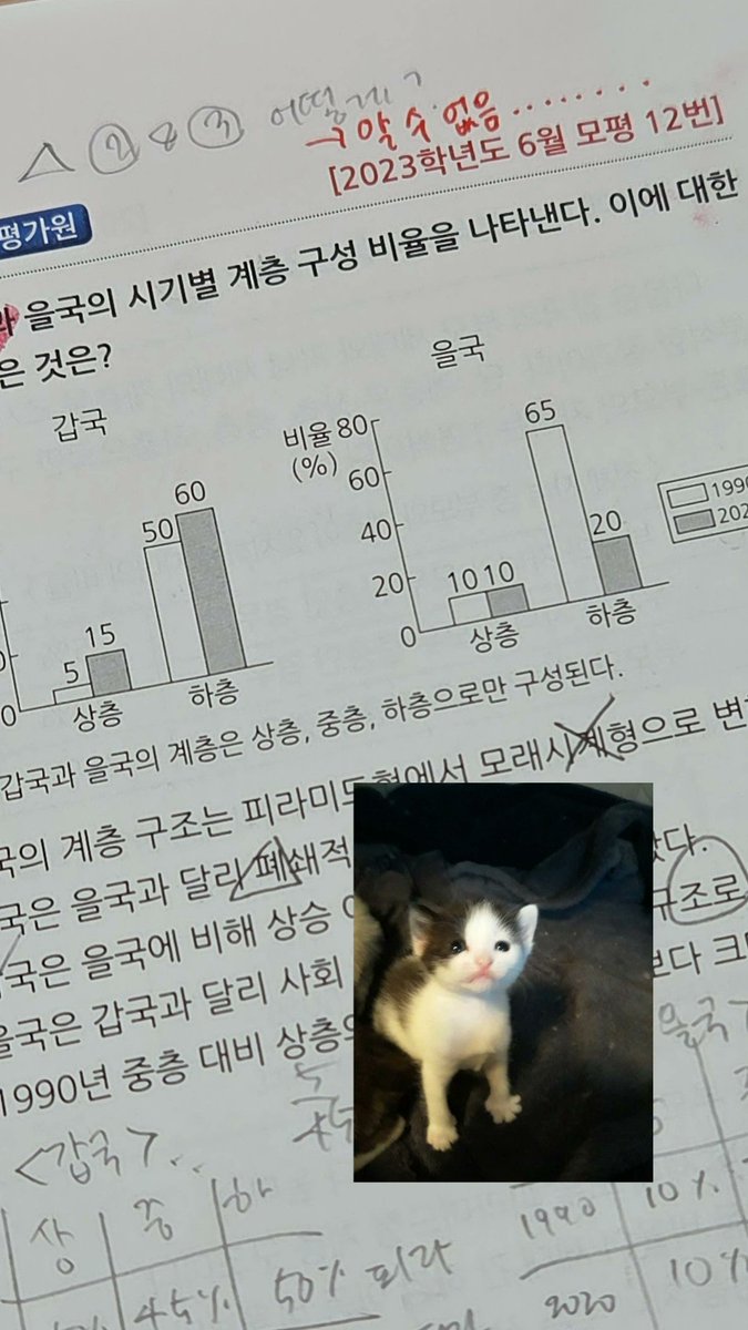 도표풀때개빡치는거
ㅇ그러면보기에넣지를마
