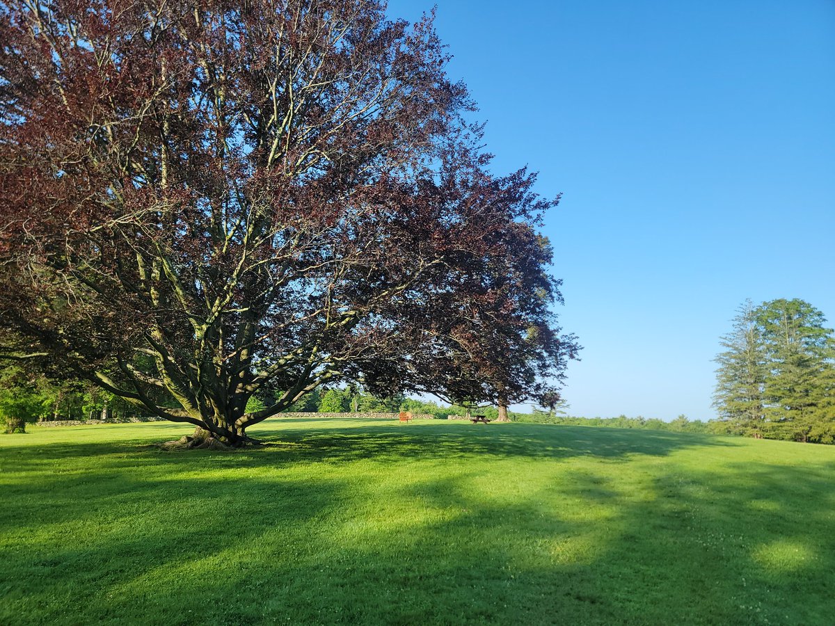 Beautiful morning. #TuesdayMotivaton